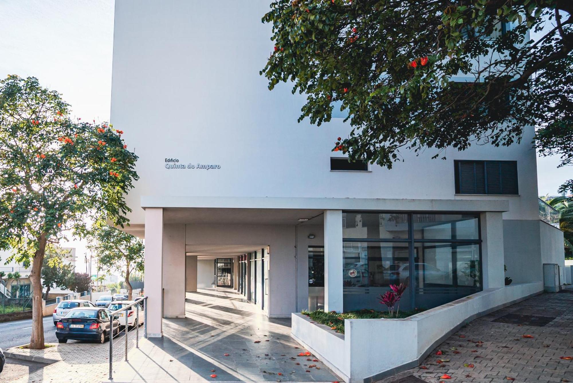 Madeira Luxury Amparo Apartment Funchal  Eksteriør billede